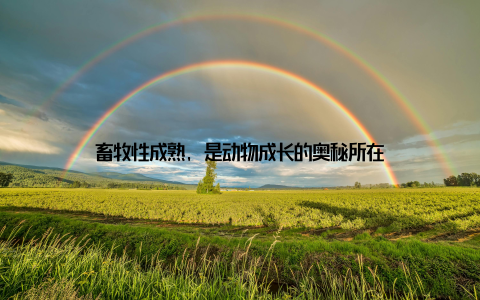 畜牧性成熟, 是动物成长的奥秘所在