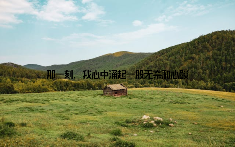 那一刻, 我心中涌起一股无奈和心酸