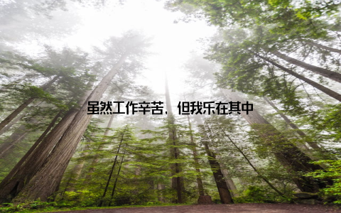 虽然工作辛苦, 但我乐在其中