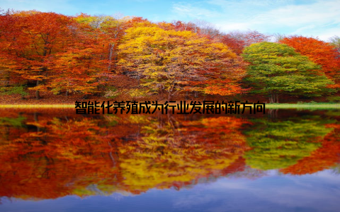 智能化养殖成为行业发展的新方向