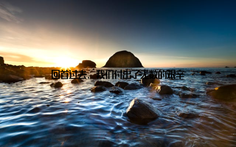 回首过去, 我们付出了无数的艰辛