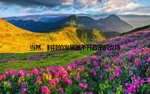 当然, 科技的发展离不开政策的支持