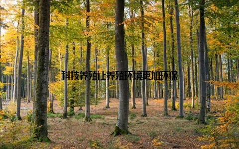 科技养殖让养殖环境更加环保