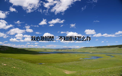 我心急如焚, 不知道该怎么办