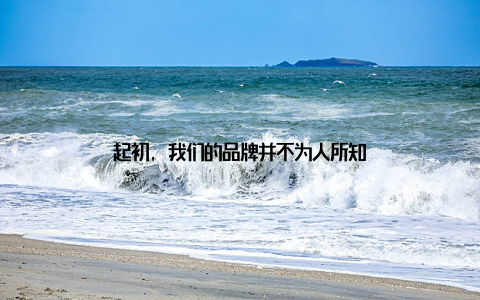 起初, 我们的品牌并不为人所知