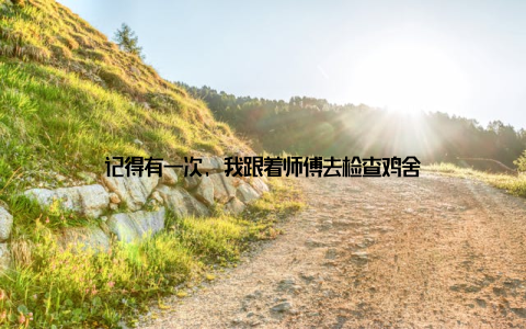 记得有一次, 我跟着师傅去检查鸡舍