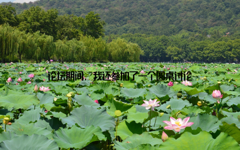 论坛期间, 我还参加了一个圆桌讨论