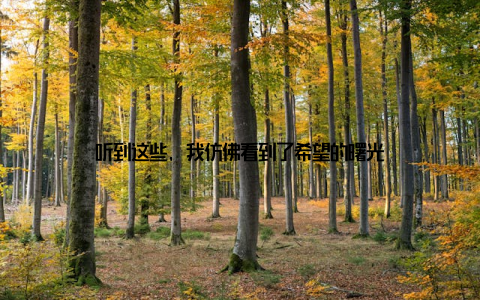 听到这些, 我仿佛看到了希望的曙光