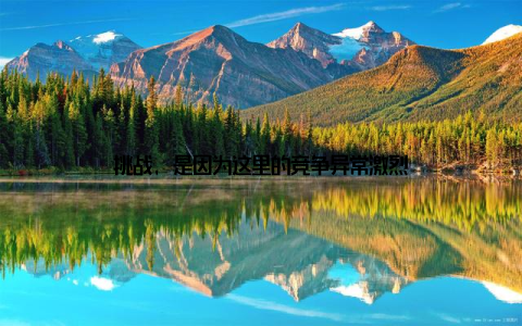 挑战, 是因为这里的竞争异常激烈