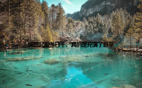 回想起那些日子, 真的是充满了艰辛