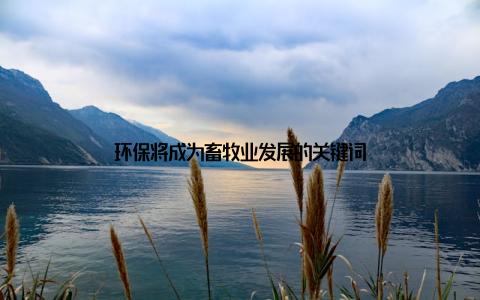环保将成为畜牧业发展的关键词