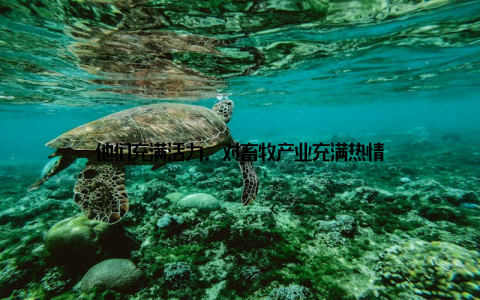 他们充满活力, 对畜牧产业充满热情