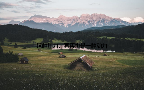 这种压力, 其实也是一种动力