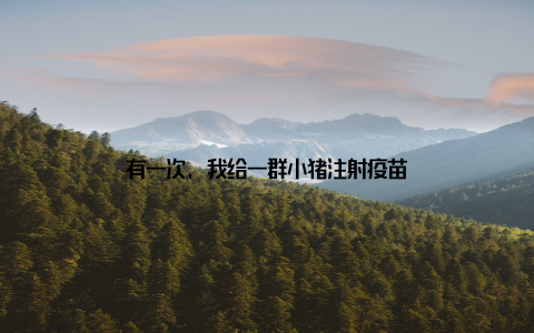 有一次, 我给一群小猪注射疫苗