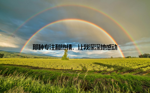 那种专注和热情, 让我深深地感动