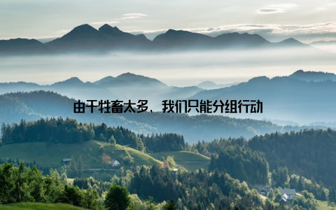 由于牲畜太多, 我们只能分组行动
