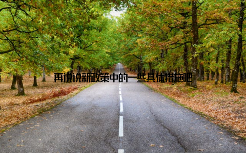 再说说新政策中的一些具体措施吧