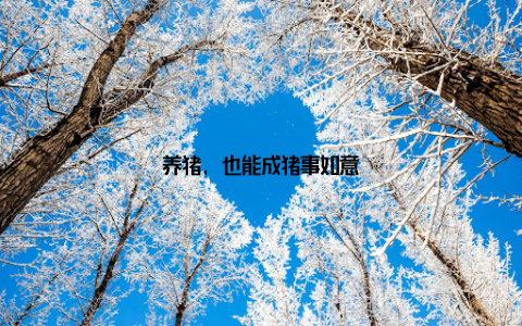 养猪, 也能成猪事如意