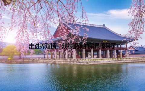 走进养殖场, 我被眼前的景象惊呆了