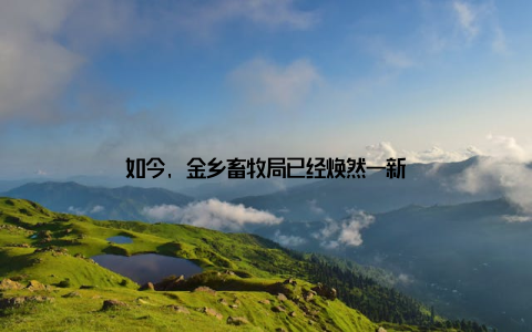 如今, 金乡畜牧局已经焕然一新