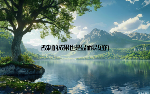 改制的成果也是显而易见的
