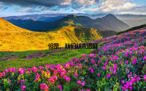 但是, 我们从未退缩