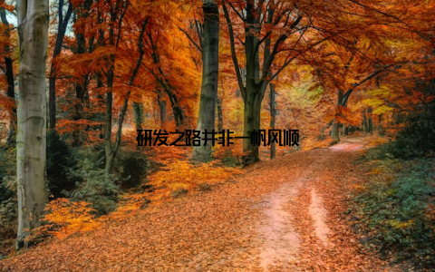 研发之路并非一帆风顺