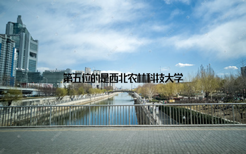 第五位的是西北农林科技大学