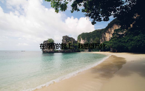 在返程的路上, 我感慨万分