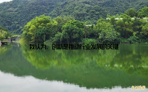 我认为, 创新是推动行业发展的关键