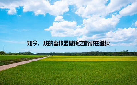 如今, 我的畜牧显微镜之旅仍在继续