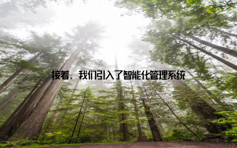 接着, 我们引入了智能化管理系统