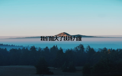 我们加大了扶持力度