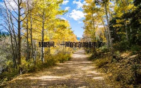 转眼间, 一周的培训结束了