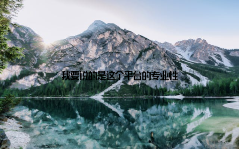 我要说的是这个平台的专业性