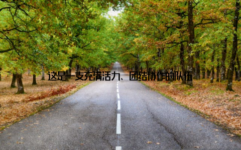 这是一支充满活力、团结协作的队伍