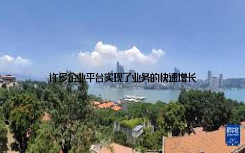 许多企业平台实现了业务的快速增长