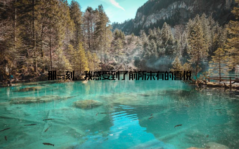 那一刻, 我感受到了前所未有的喜悦