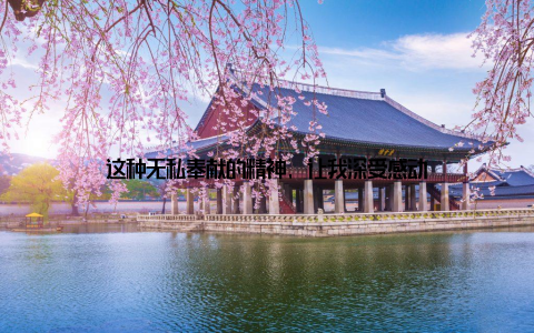 这种无私奉献的精神, 让我深受感动