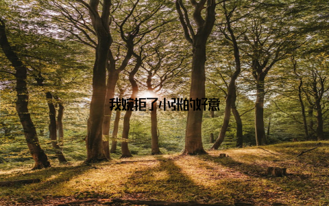 我婉拒了小张的好意