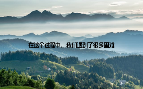 在这个过程中, 我们遇到了很多困难