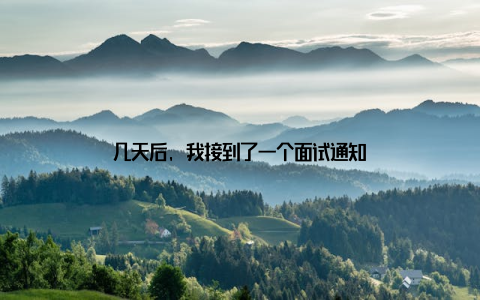 几天后, 我接到了一个面试通知