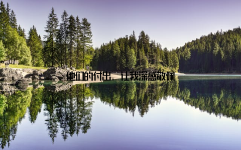 他们的付出, 让我深感敬佩