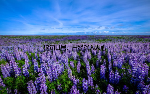 这句口号, 已经深入人心