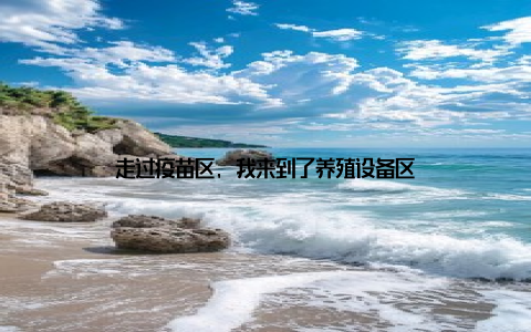 走过疫苗区, 我来到了养殖设备区