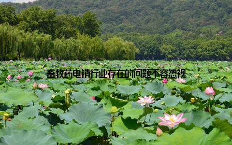 畜牧药电销行业存在的问题不容忽视