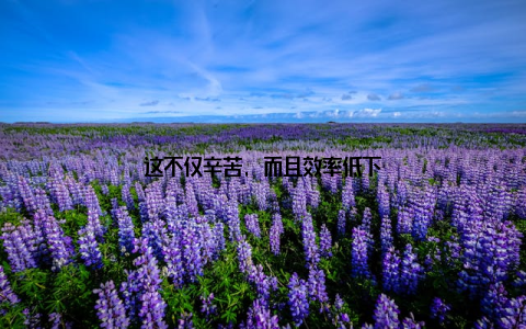 这不仅辛苦, 而且效率低下