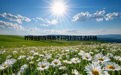 养殖业的发展离不开良好的生态环境