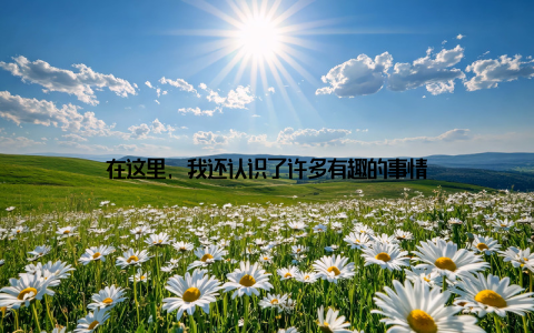 在这里, 我还认识了许多有趣的事情