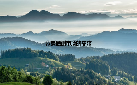 我要感谢市场的需求